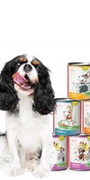 Hond Natvoer Proefpakket hond 200g 1 Set met verschillende soorten natvoer / vlokken en testpakketten Anifit