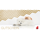 Hond Provital Accessoires Accessories Advertising material Anifit 10 EUR Gutschein 1 Stuk -2- Anifit